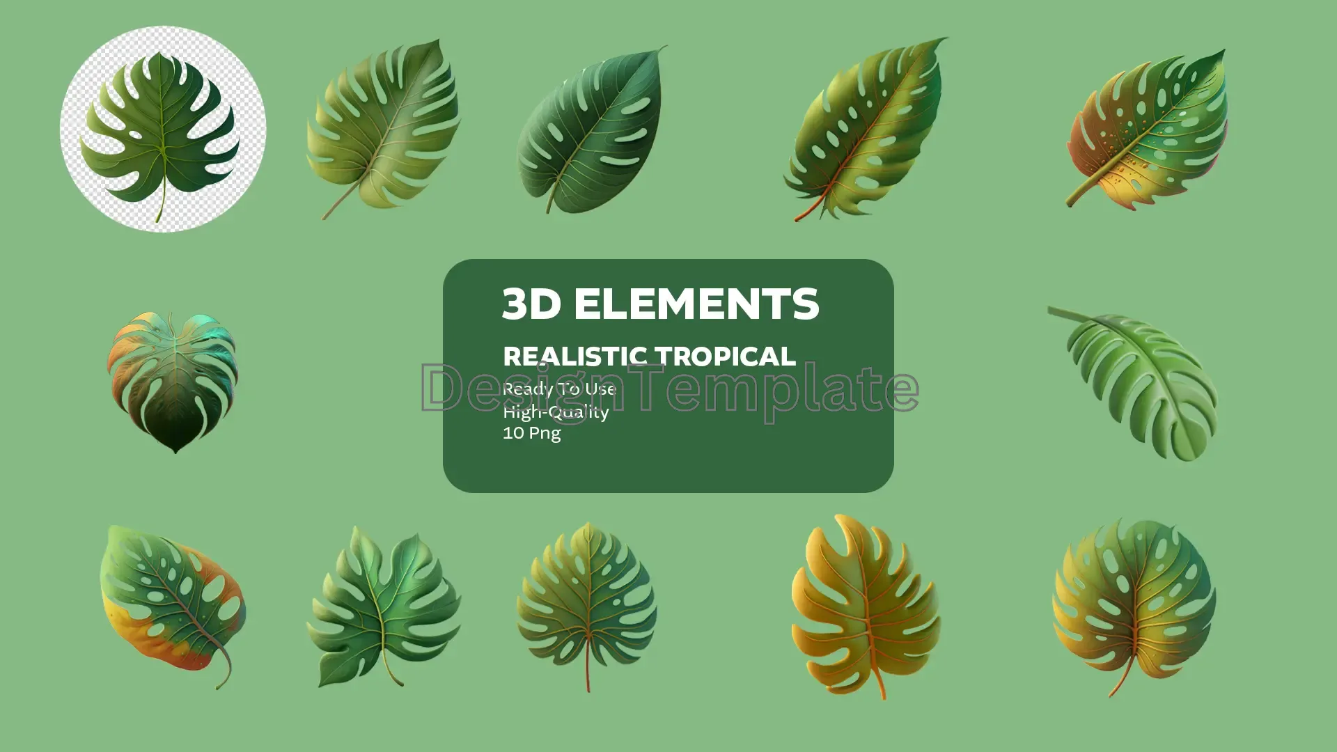 Tropical Paradise Realistic 3D Elements Pack